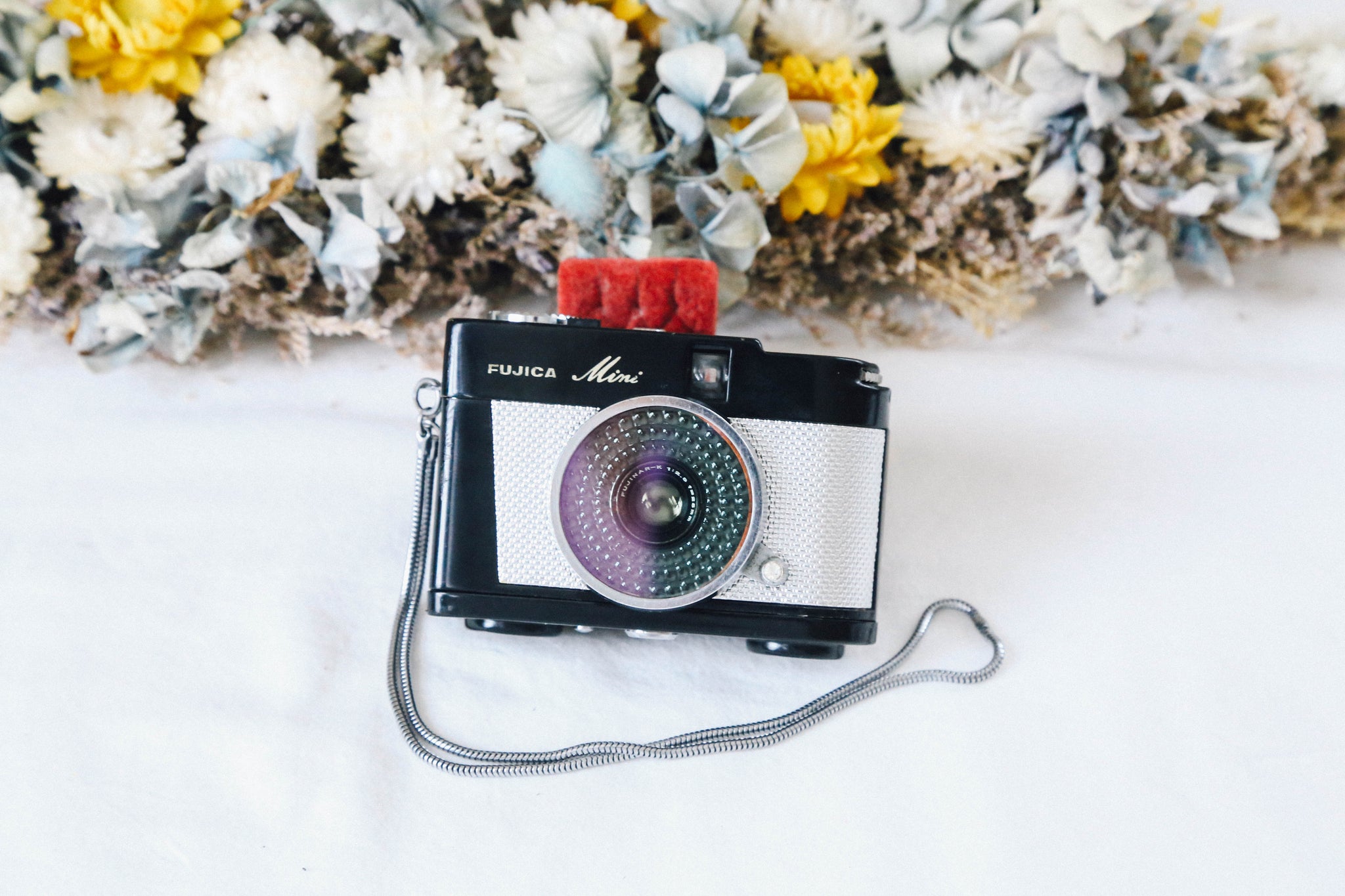 FUJICA Mini｜世界最小級✨超かわいいハーフカメラ📸【完動品】 – Ein