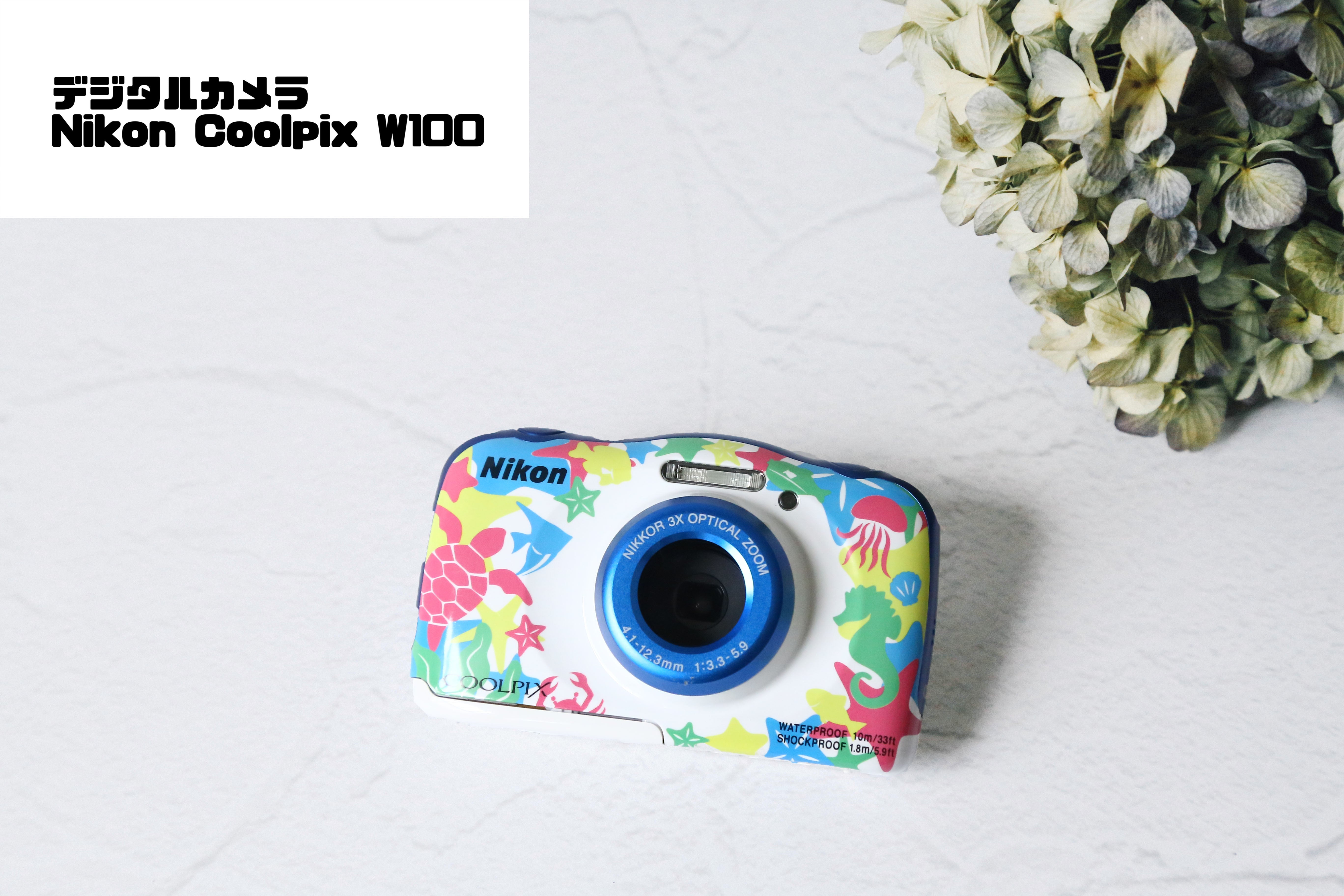 IMG_0384_5472x.jpg?v=1716284424