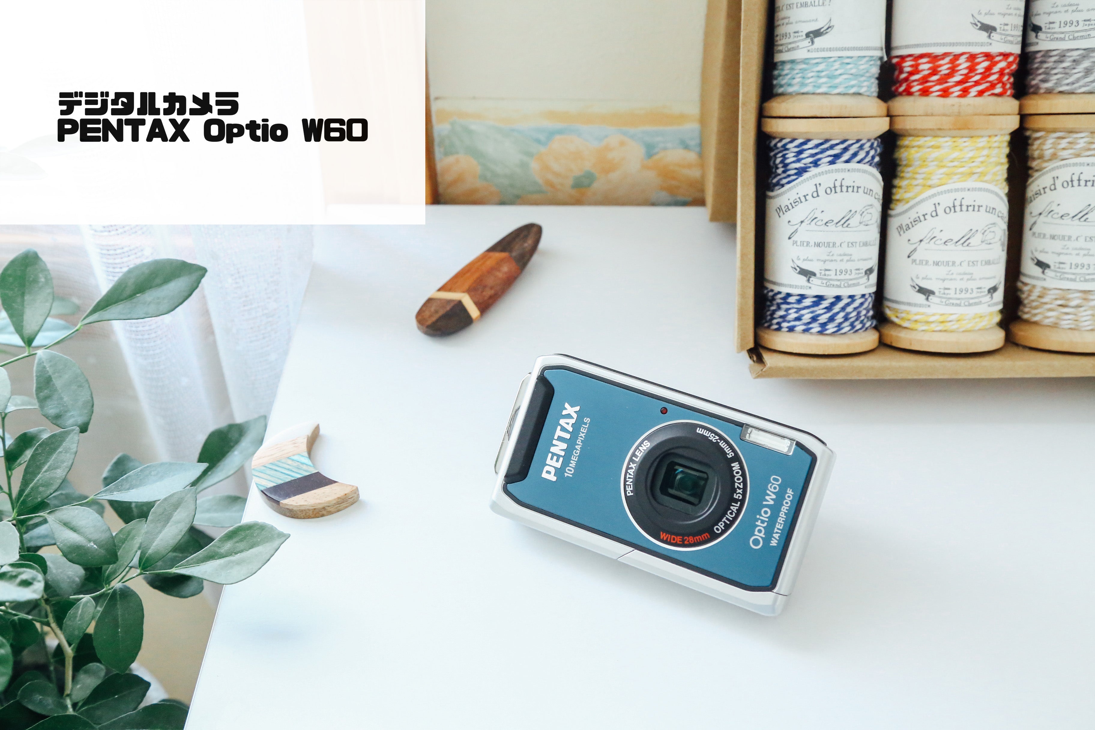 IMG_6974_3648x.jpg?v=1679217414