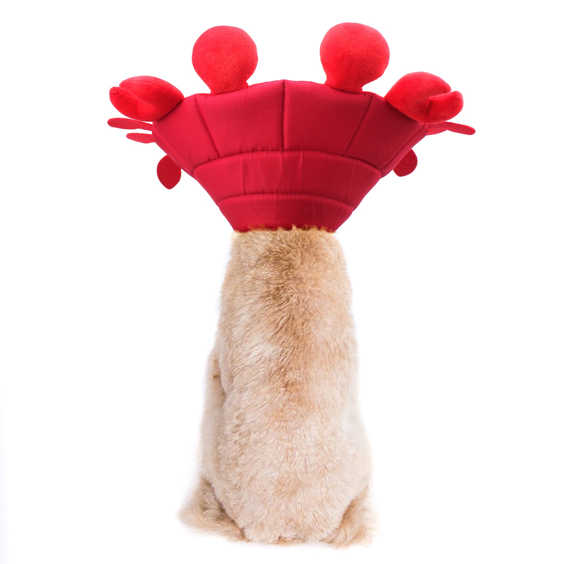 Alfie エリザベスカラー – 日本エイテックス オンラインストア