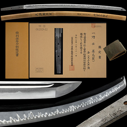 大和志津 脇差 特別保存刀剣 ｜日本刀販売は永楽堂