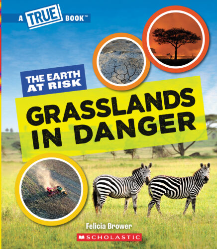 A True Book: The Earth at Risk Value Pack | The Scholastic Parent
