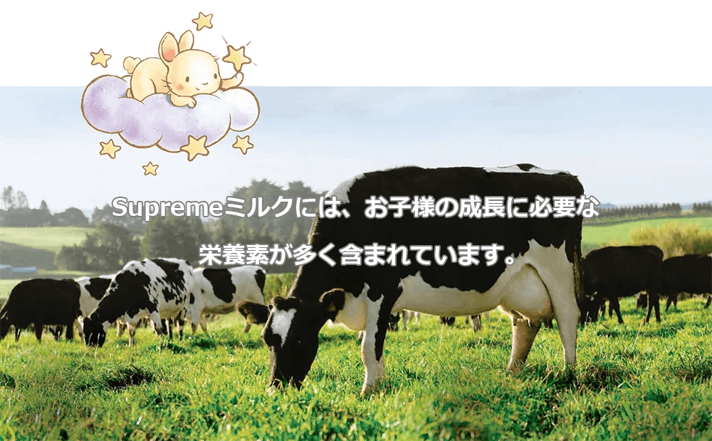 Bubs（バブズ） Supreme（シュプリーム） A2 粉ミルク ステップ1 (0～6