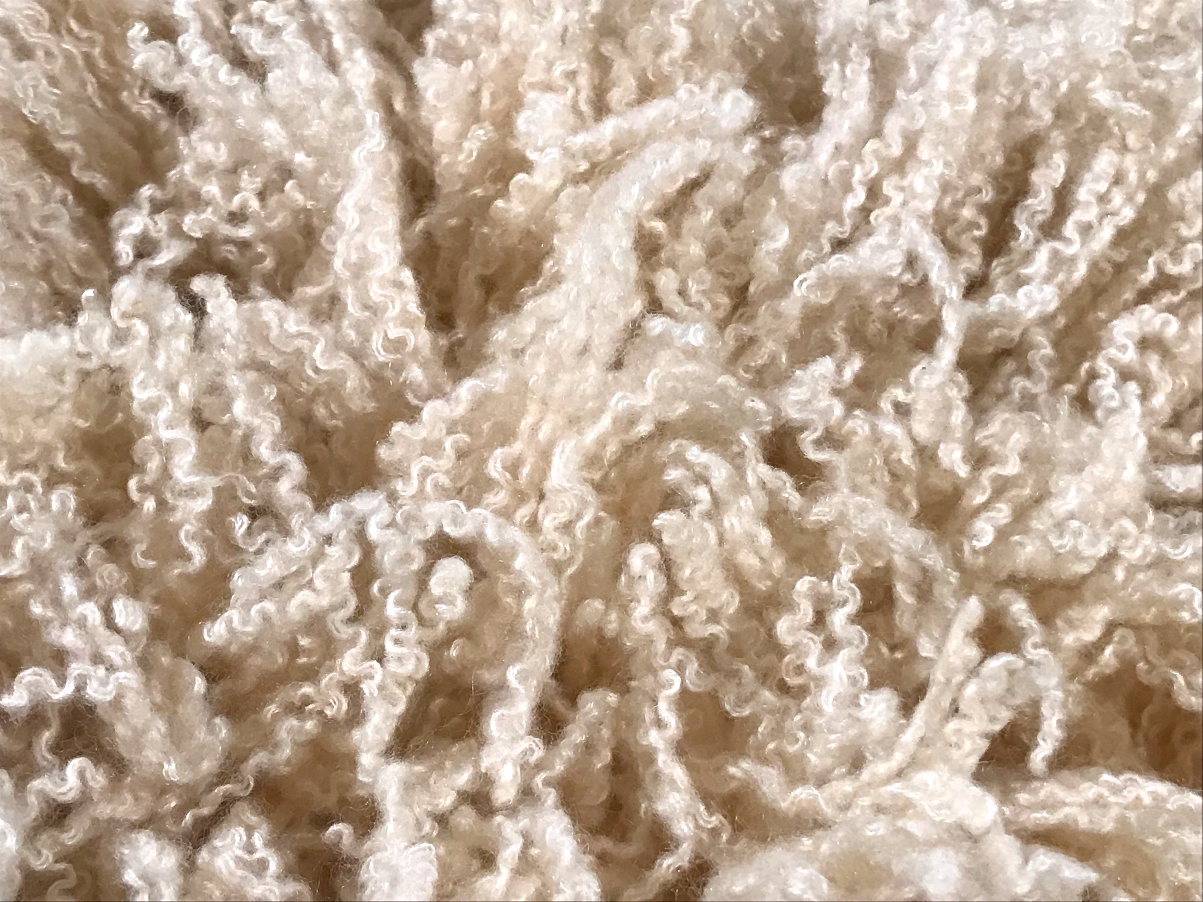 Ryan Rocheのカシミアに抱きしめられる – en-inc.