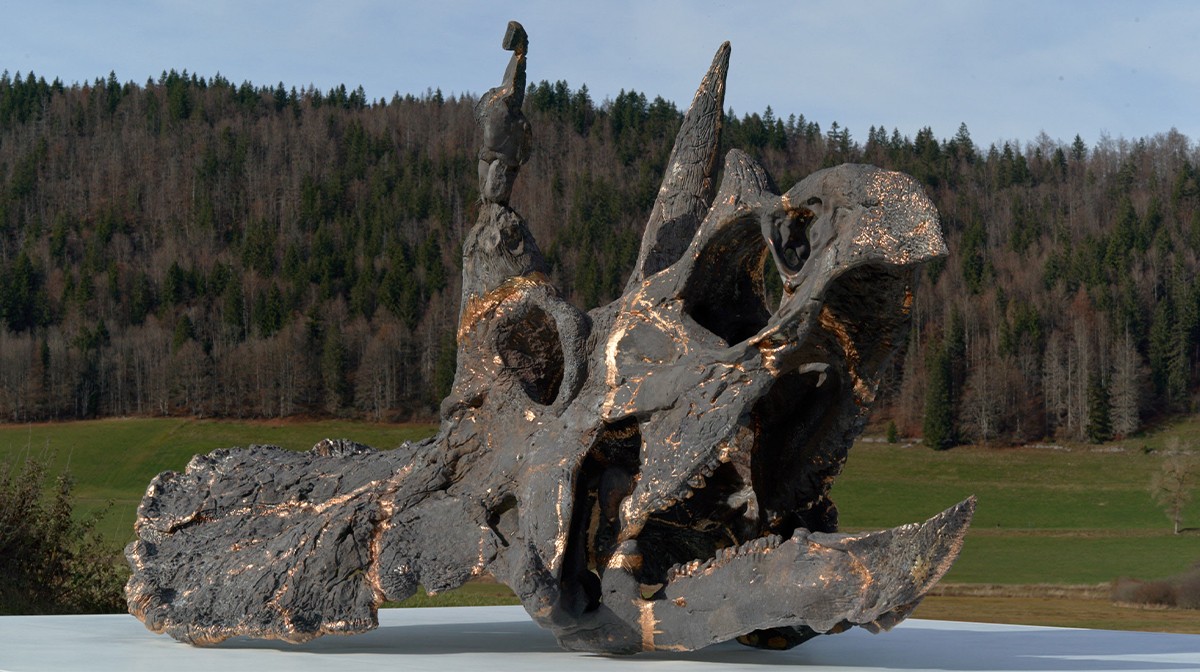 81636.6_0.jpg.jpeg?h=c851a607&