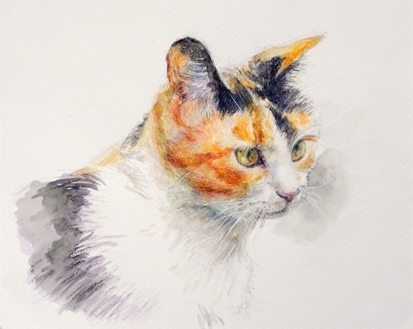 三毛猫」 by TAKA｜Artmeter｜暮らしを彩るアートが、きっと見つかる