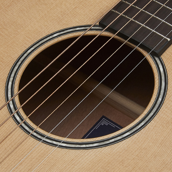 F100 M - HEX Guitars