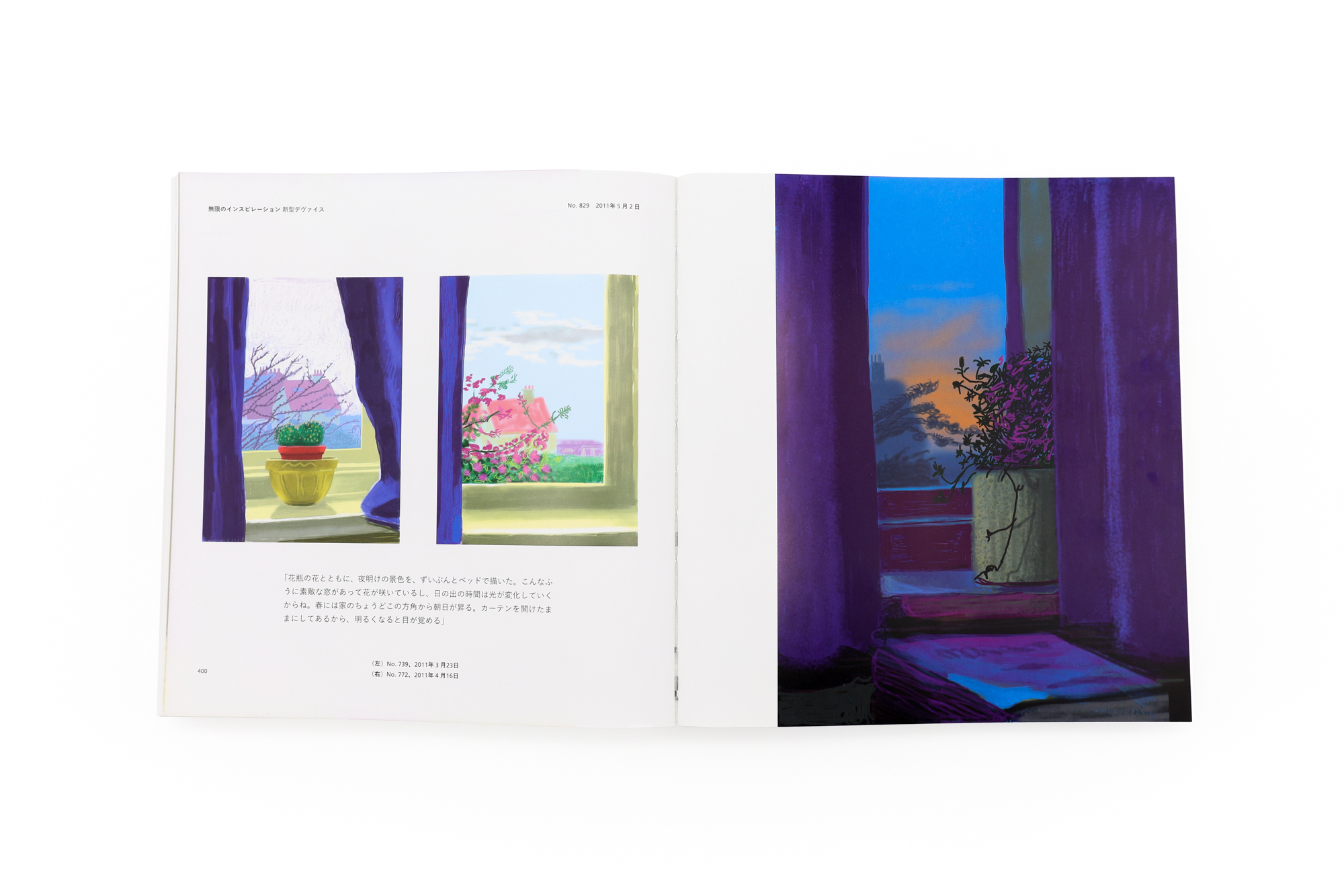 Hockney's Pictures (Japanese edition) | 青幻舎 SEIGENSHA Art