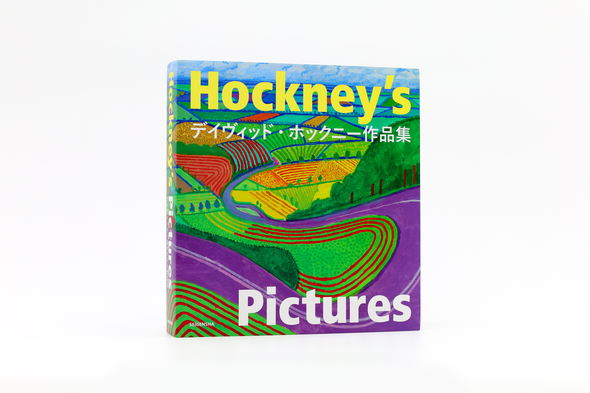 Hockney's Pictures (Japanese edition) | 青幻舎 SEIGENSHA Art