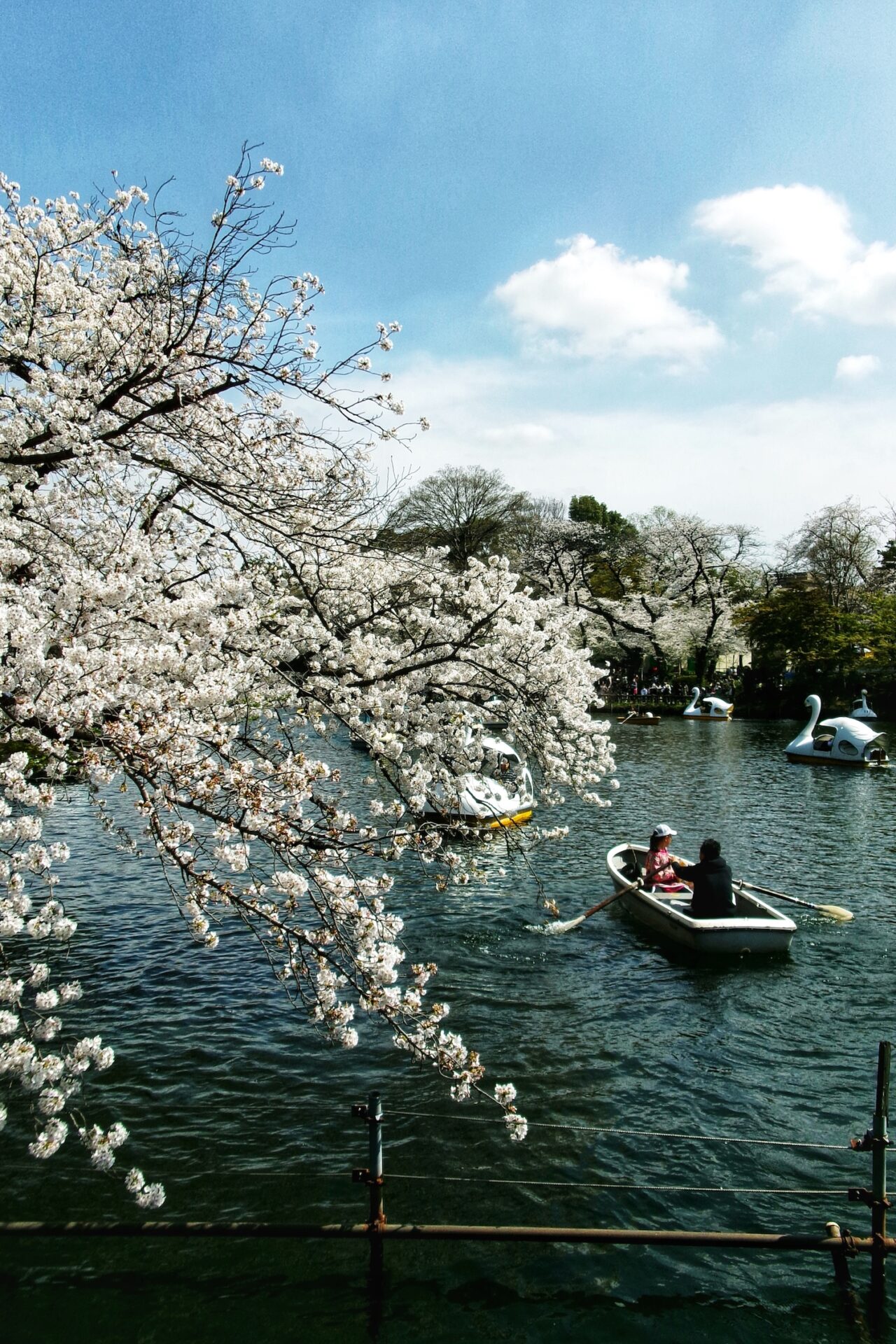 作例レビュー】KODAK PIXPRO FZ55 #わたしのカメラ vol.148｜コダック