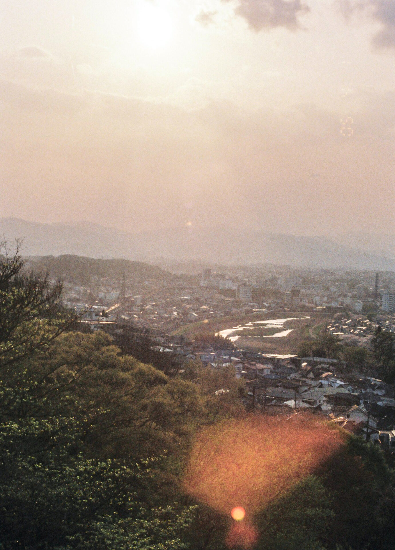 作例レビュー】SAMURAI X3.0 京セラのフィルムカメラ #わたしのカメラ