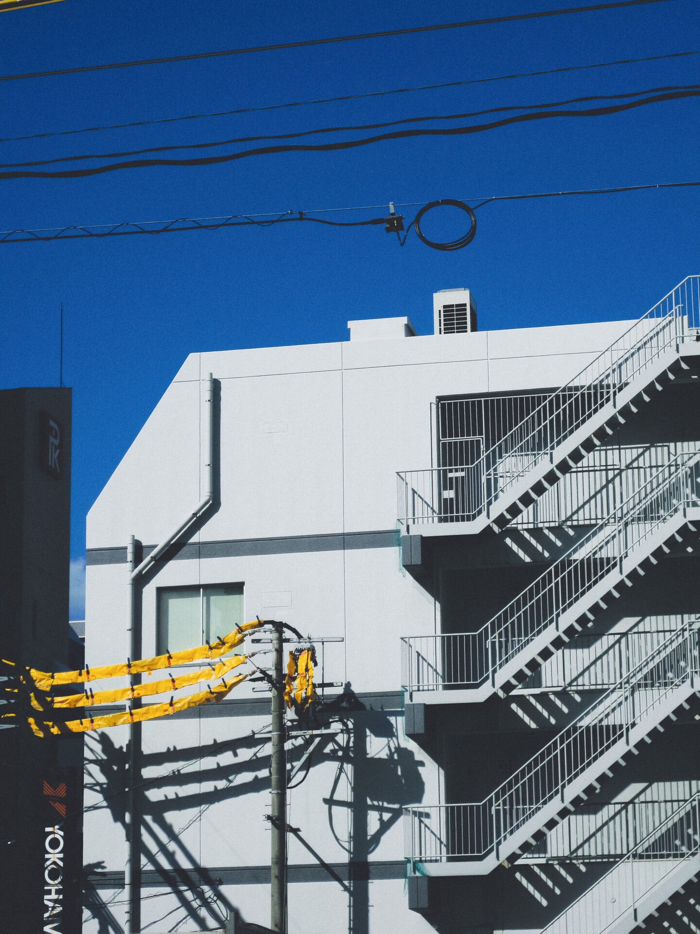 作例レビュー】Canon IXY DIGITAL 25IS #わたしのカメラ vol.157