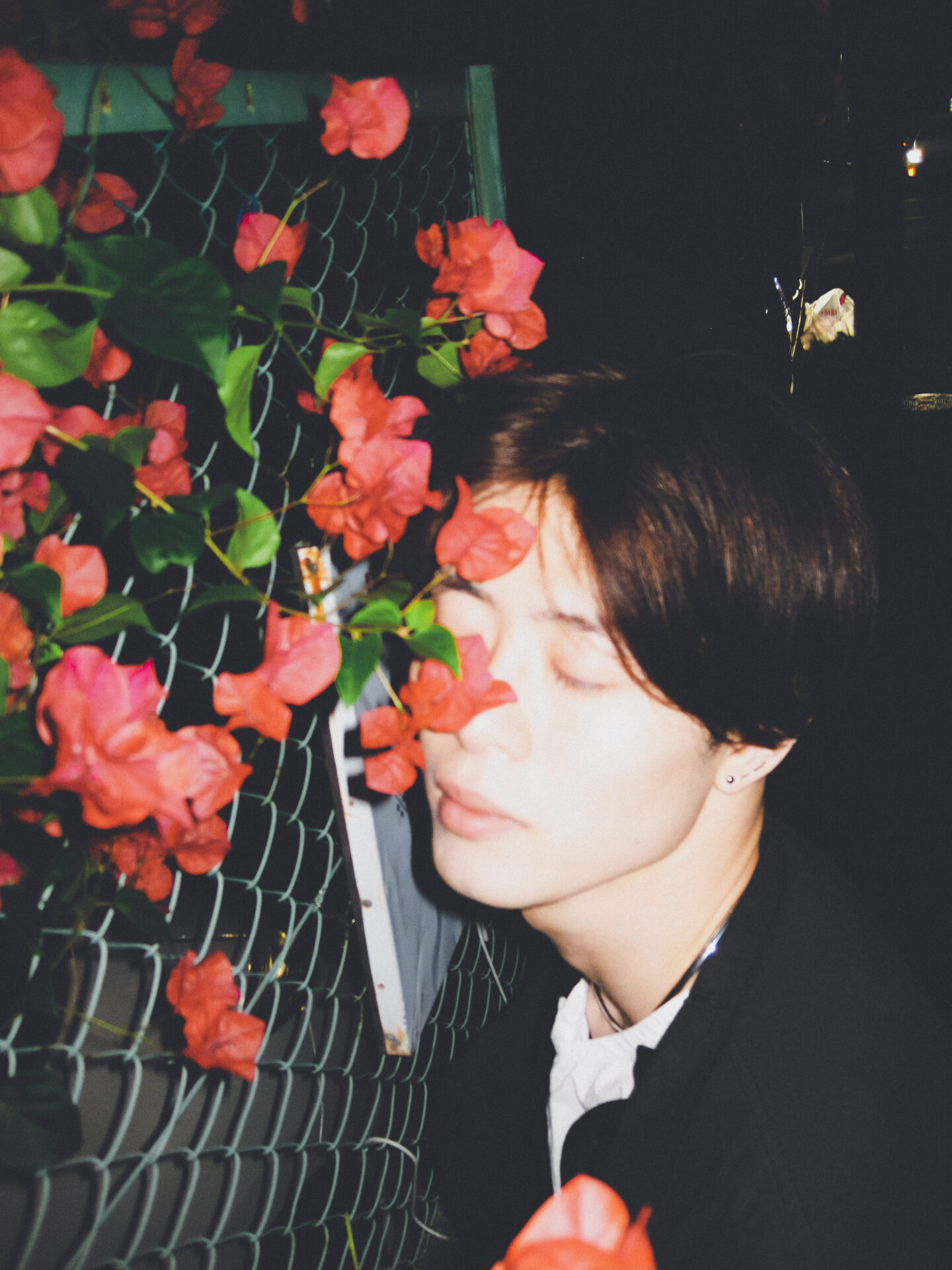 作例レビュー】Canon IXY DIGITAL 25IS #わたしのカメラ vol.157