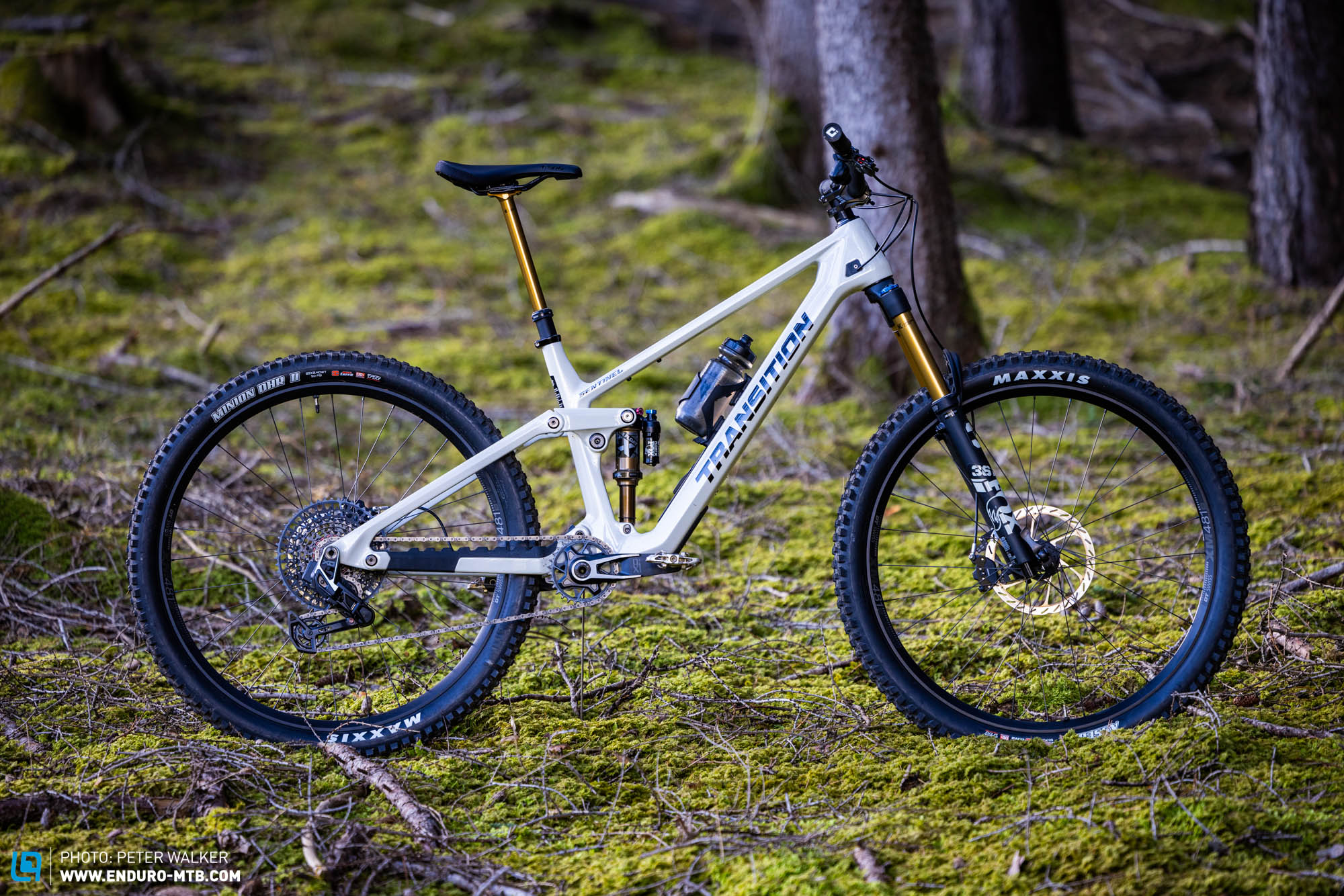 Transition Sentinel X0 AXS – In our big 2025 trail bike comparison