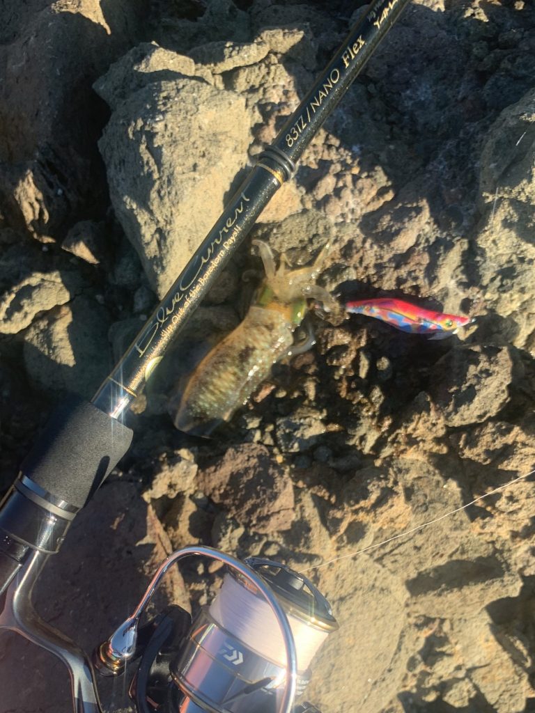 ヤマガブランクス ブルーカレント 83TZnano Flex インプレ | Enjoy