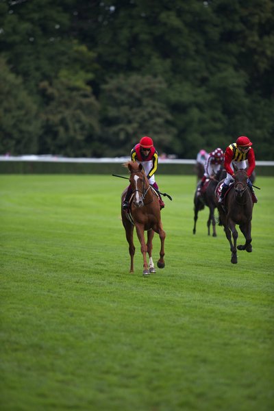 オルフェーヴル｜2013 フランス 凱旋門賞 現地取材レポート｜日本馬の
