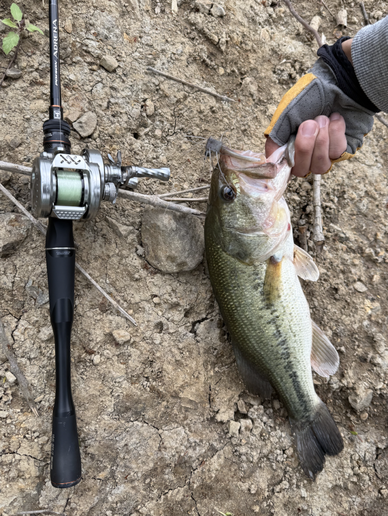 インプレ】24ポイズンアドレナ 164L-BFS/2購入＋入魂！高感度＋軽量は