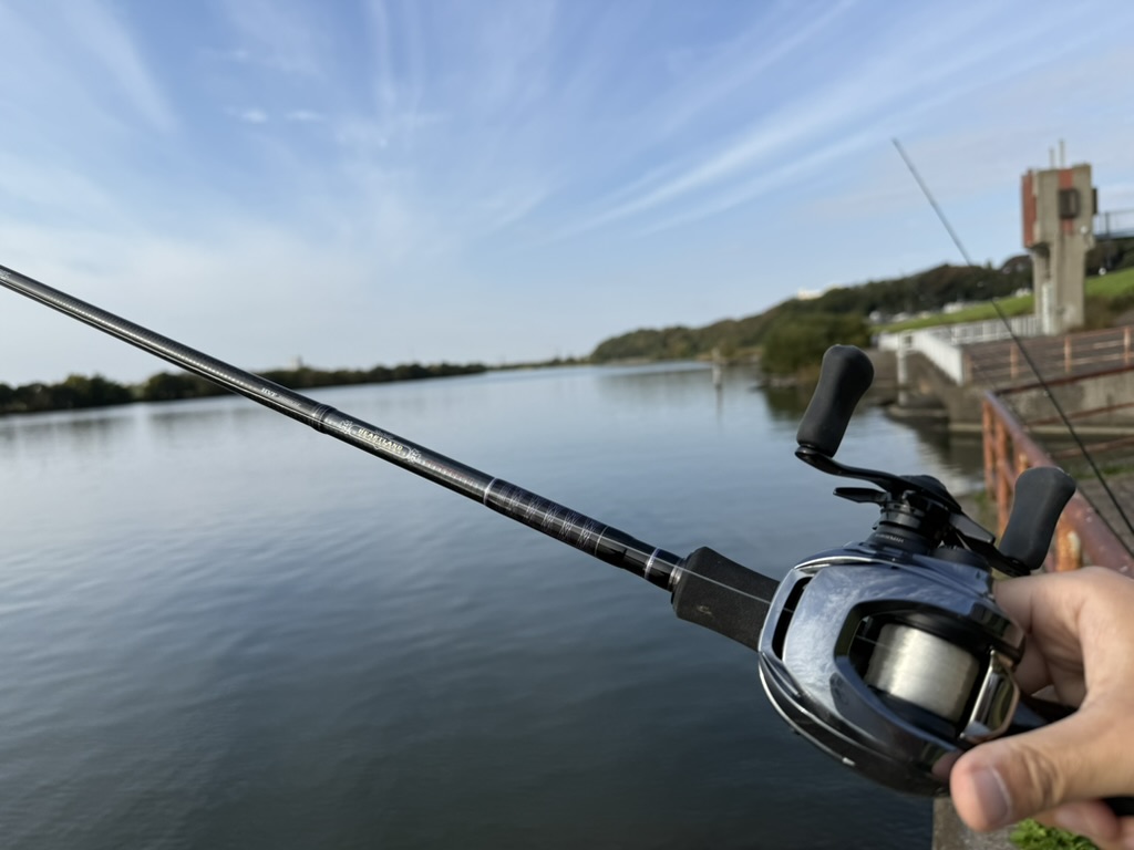 なんでもぶっ飛ばすバーサタイルロングロッド。ハートランドHEARTLAND