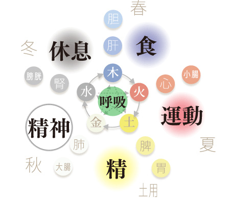 アカデミー概要 | 陰陽五行ライフコンサルタントアカデミー | 一般社団