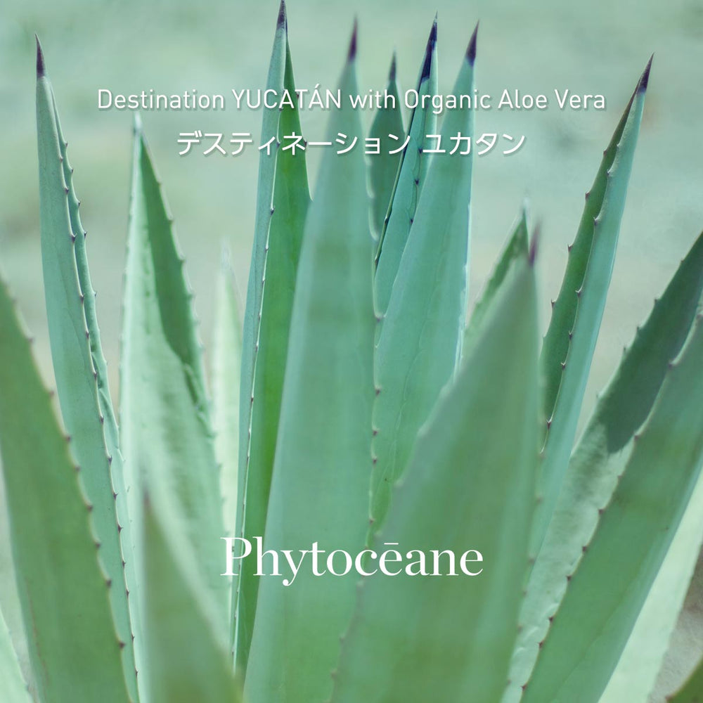 NEW】フィトオセアン ジェントル モイスチャライジング クリーム