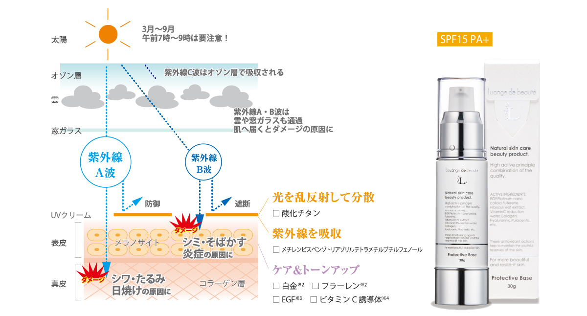 ESTLAB SHOP / ルアンジュ・ド・ボーテ プロテクトベース(下地クリーム