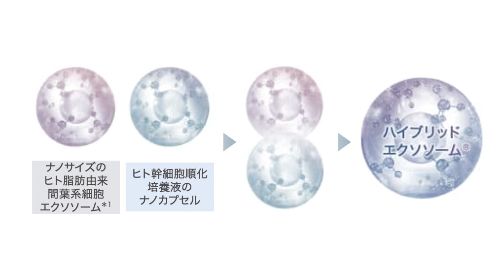 インダーム・エクソダームシリーズ｜株式会社 エステツイン