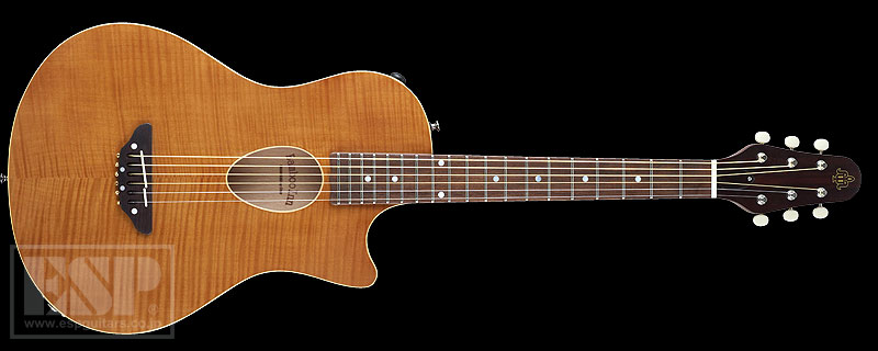 ESP Bamboo Inn CE Char プロデュース エレアコ 美品 ESP Bamboo Inn