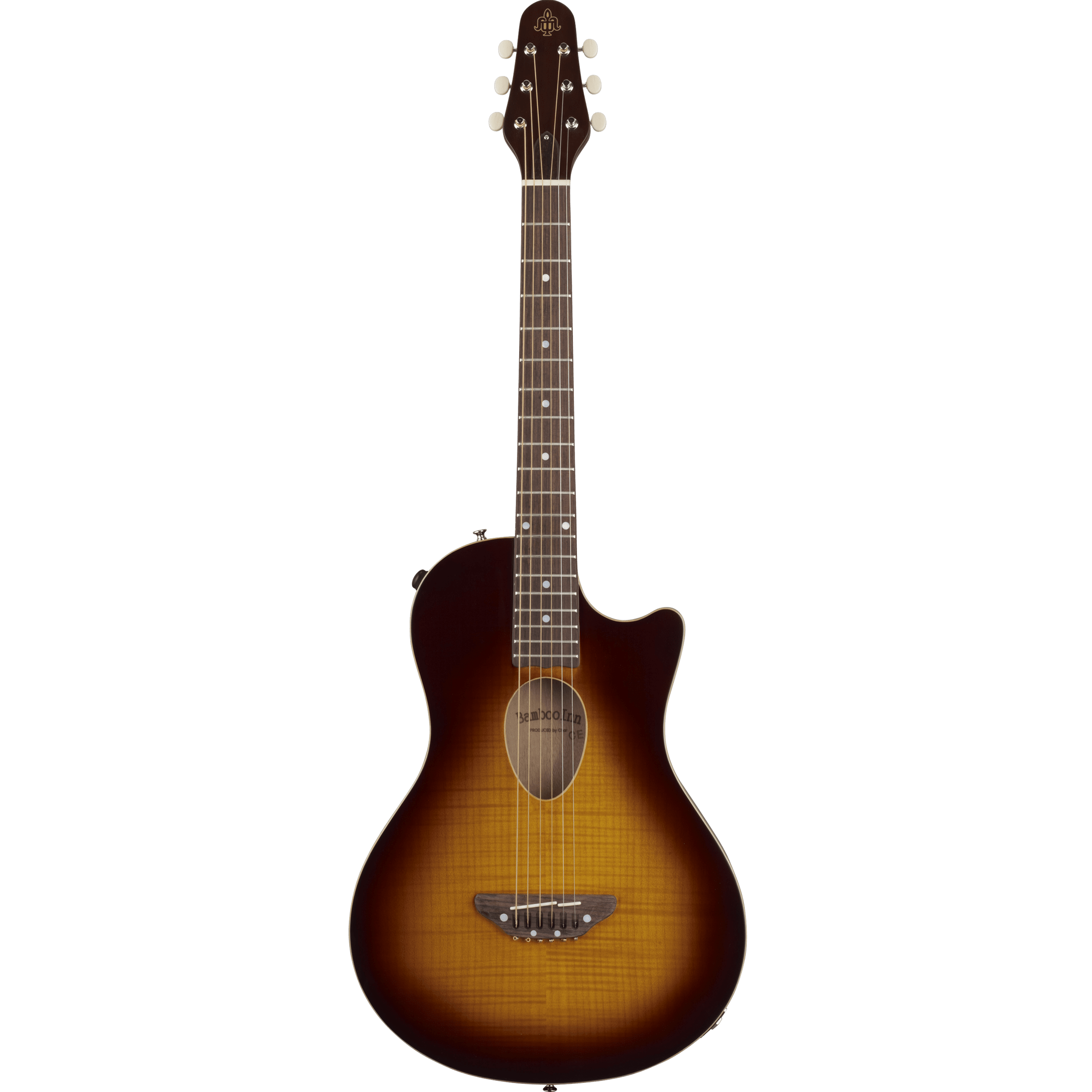 ESP Bamboo Inn CE Char プロデュース エレアコ 美品 ESP Bamboo Inn