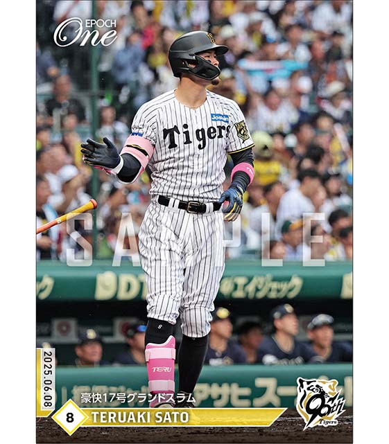 エポック社の公式オンラインショップです。【佐藤輝明】豪快17号