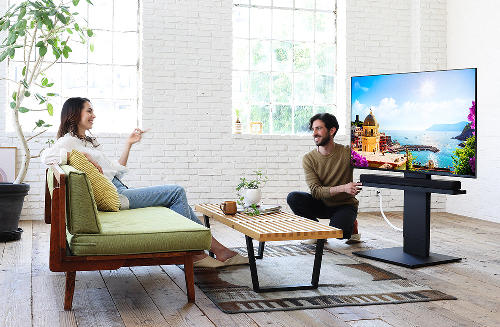 EQUALS 壁寄せテレビスタンド WALL V2 ロータイプ オールブラック