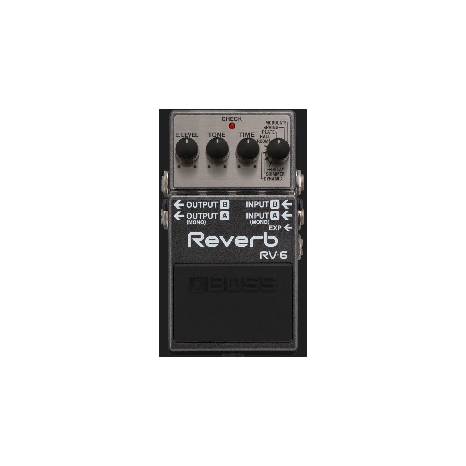 Ernie Williamson Music - Boss RV6 Reverb