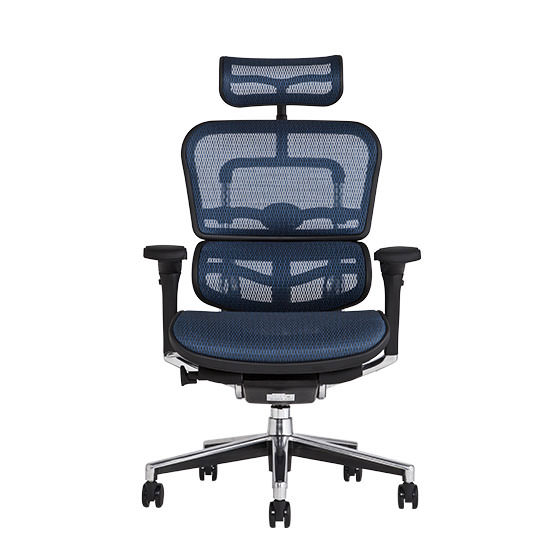 エルゴヒューマン ベーシック / ヘッドレスト有り【メーカー組み立て