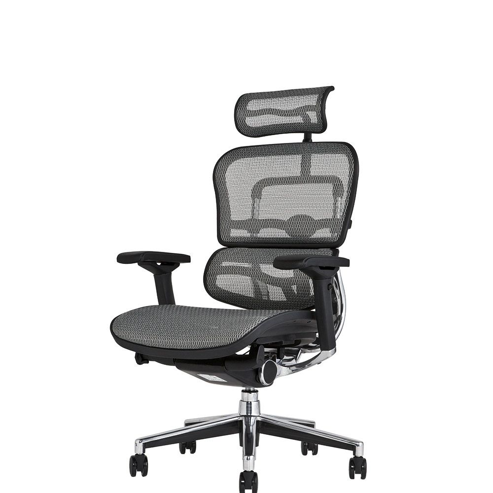 エルゴヒューマン ベーシック / ヘッドレスト有り【メーカー組み立て