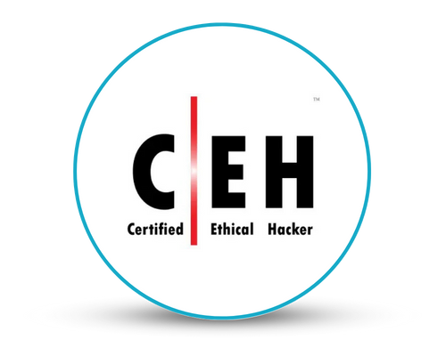 EC-Council CEHᵃᶦ (v13) Training - Eric Reed Cybersecurity Training
