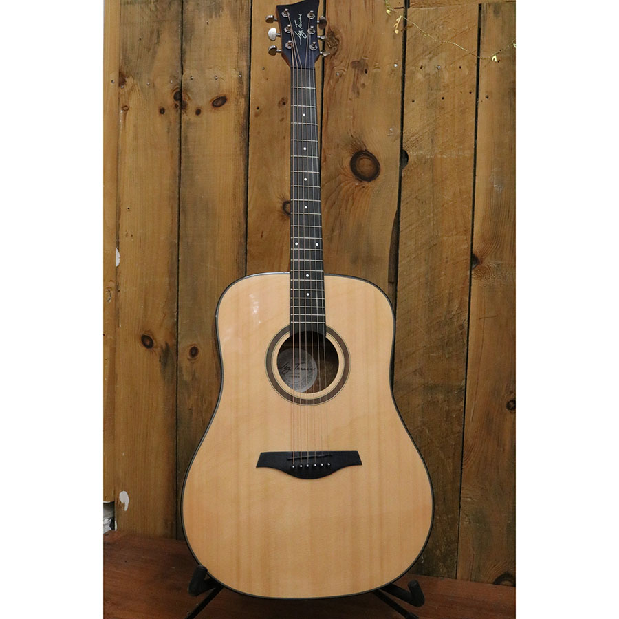 Jay Turser JTA-CRA-6S NG Giannini エレアコ