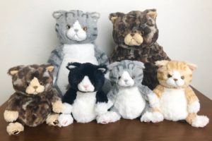 究極の癒し！ひざねこをご紹介 | エトワール海渡 | 幅広いアパレル