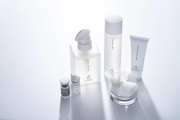 SUBSCRIPTION – エタンセルボーテ