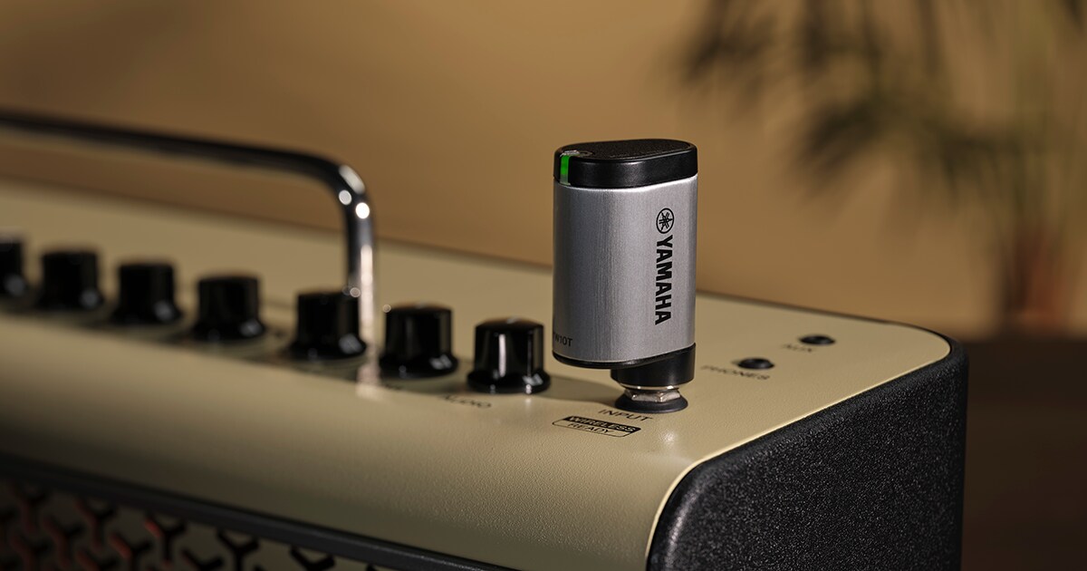 YW10T - Overview - Guitar Amps - Products - Guitars, Basses & Amps