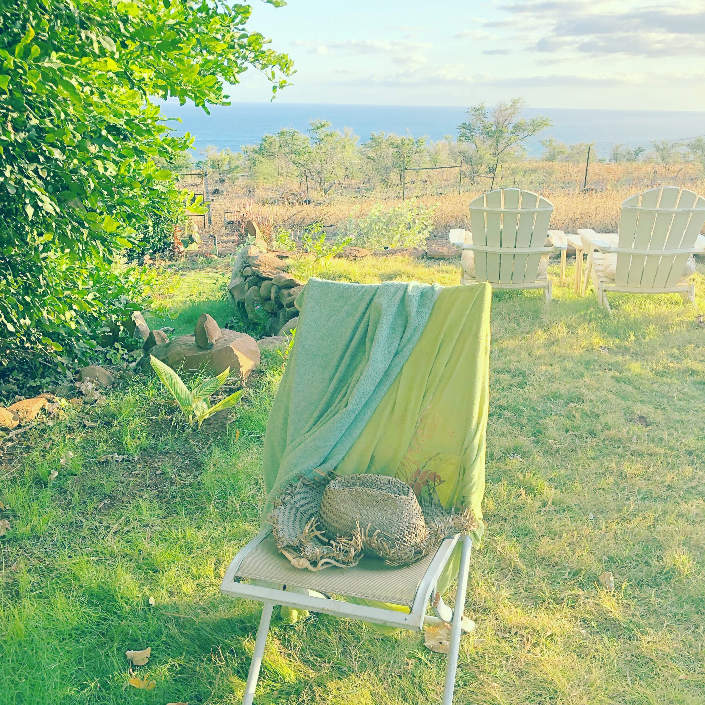 スパイラルガーデンにて、ハワイ・モロカイ島在住のアーティスト山崎