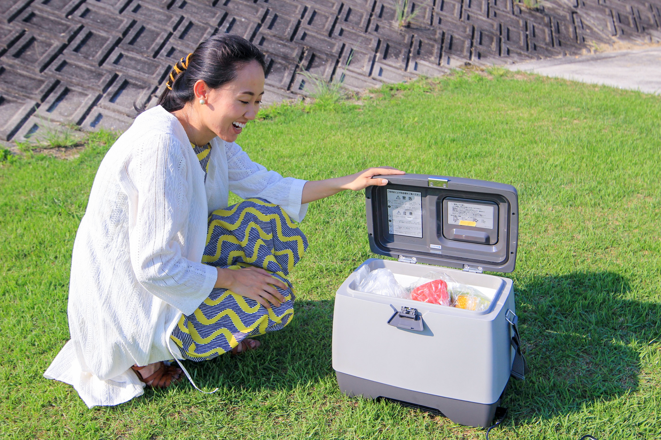 ENGEL10 エンゲル温冷庫 MHFD-010D 澤藤電機 SAWAFUJI 動作確認済み