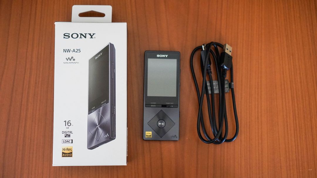Sony NW-A25 Review – Dead Media or Niche Luxury? – Everyday Listening