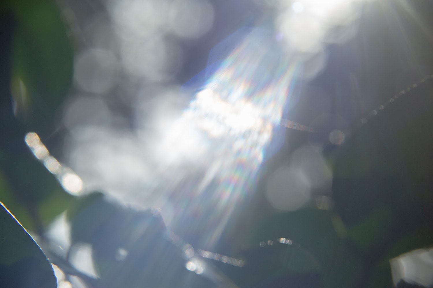 original CD evam eva × haruka nakamura 星ひとつのぼりて | evam eva