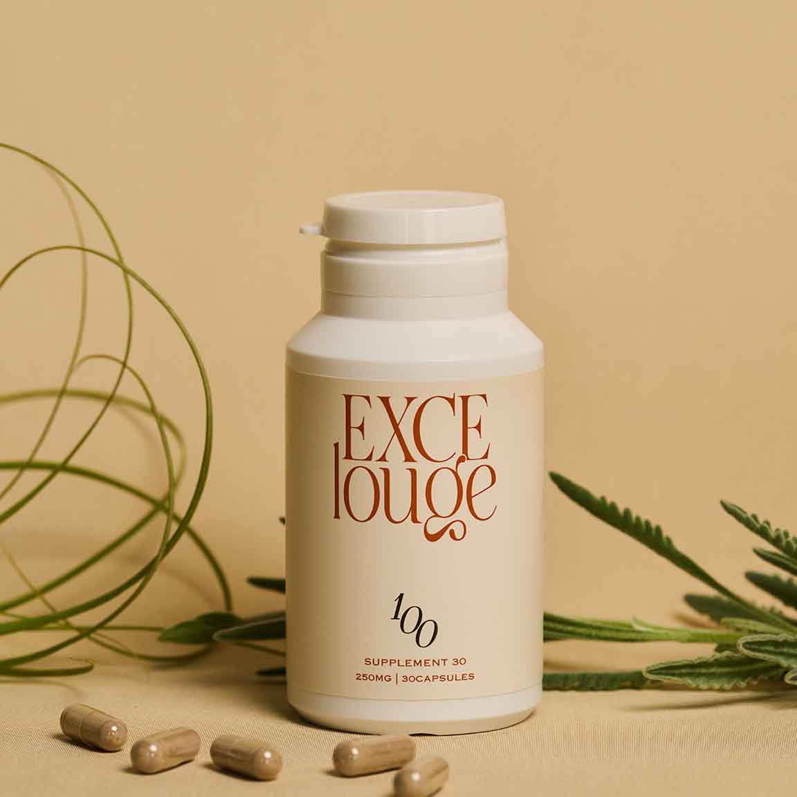 エクセルージュ サプリメント 30粒/90粒【EXCElouge】エクセルージュ