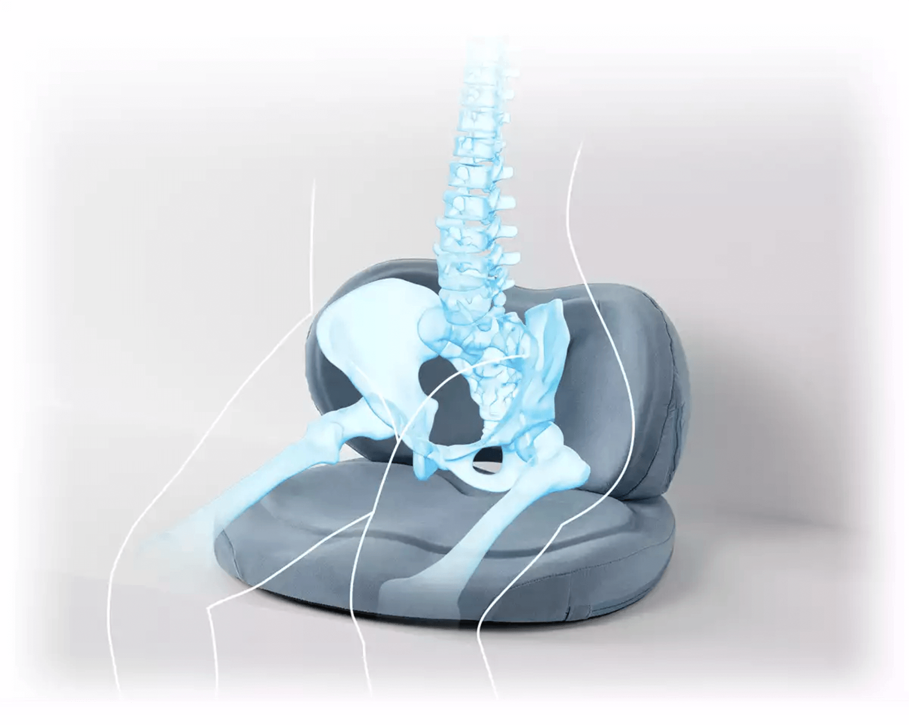 ハグシリーズ | EXGEL SEATING LAB エクスジェル シーティングラボ