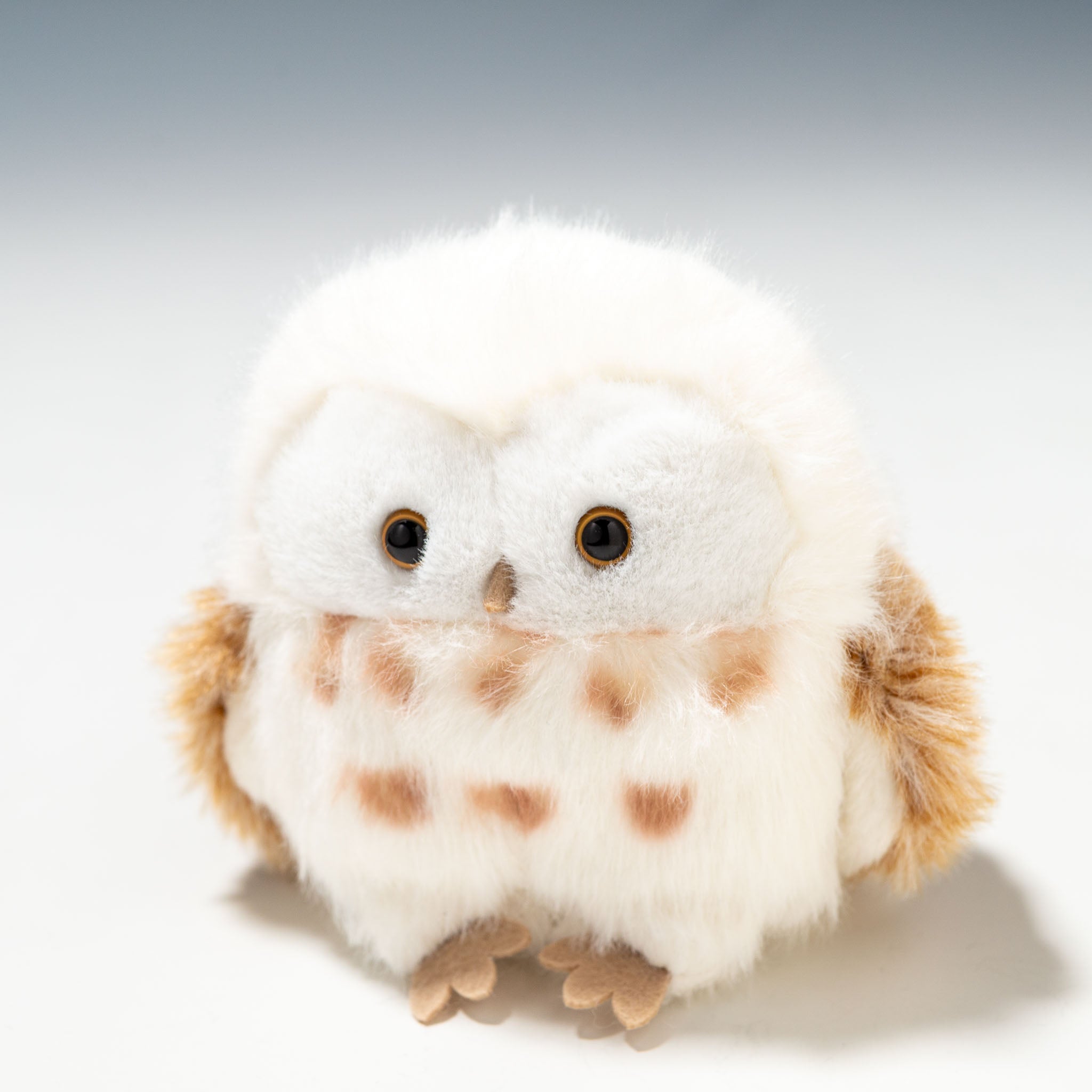 内藤デザイン研究所 ぬいぐるみ わたぽ 北の動物 全4種 - エステルノ