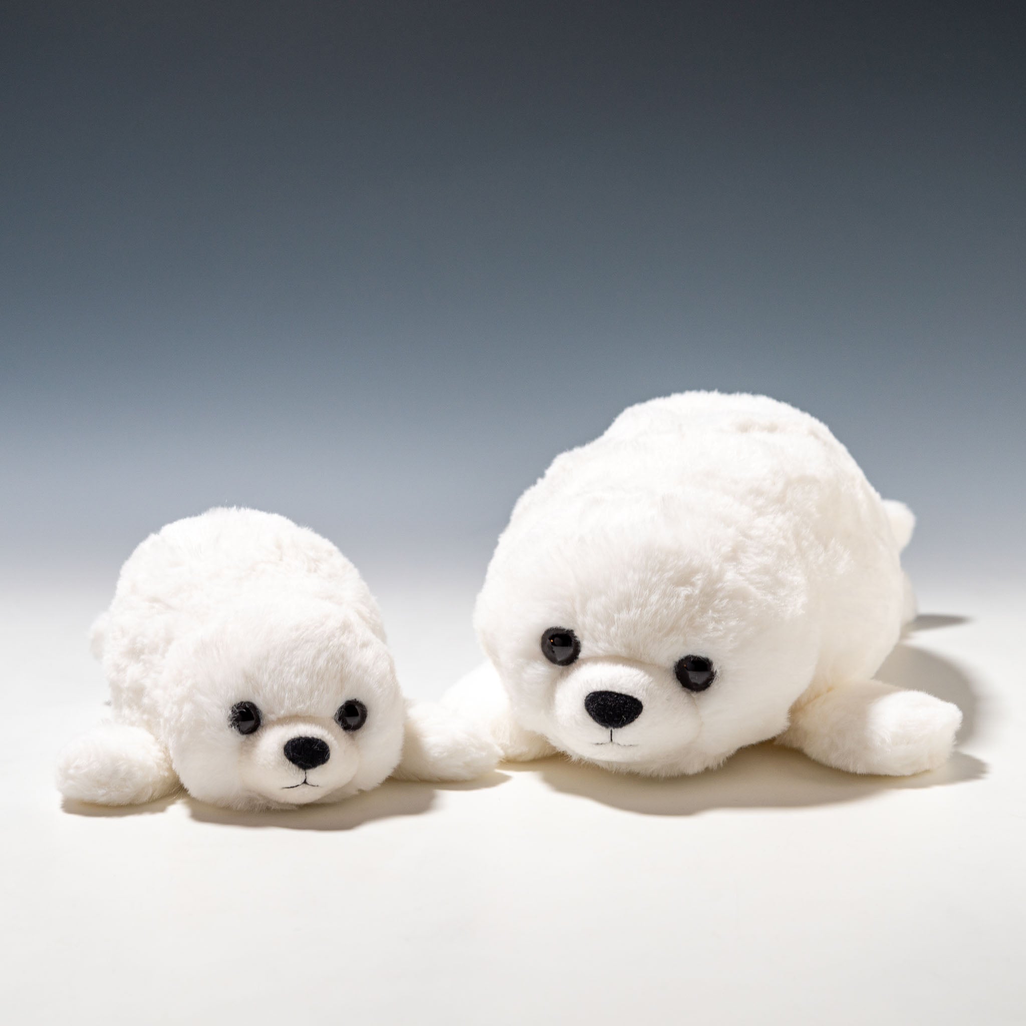 CUTE キュート販売 ぬいぐるみ マリンコレクション ふわふわアザラシ S