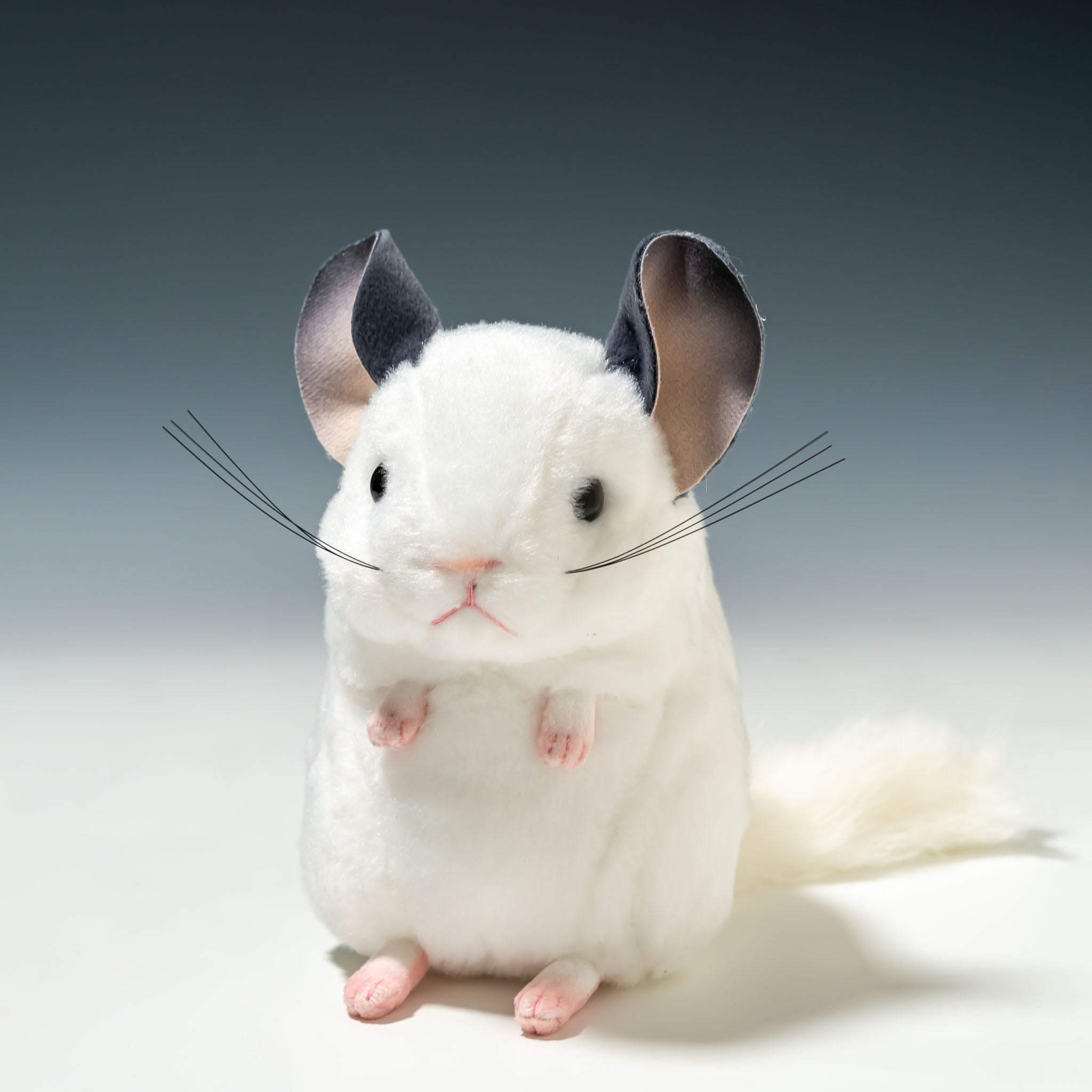 吉徳 ぬいぐるみ りくのなかまたち チンチラ 180221 - エステルノ