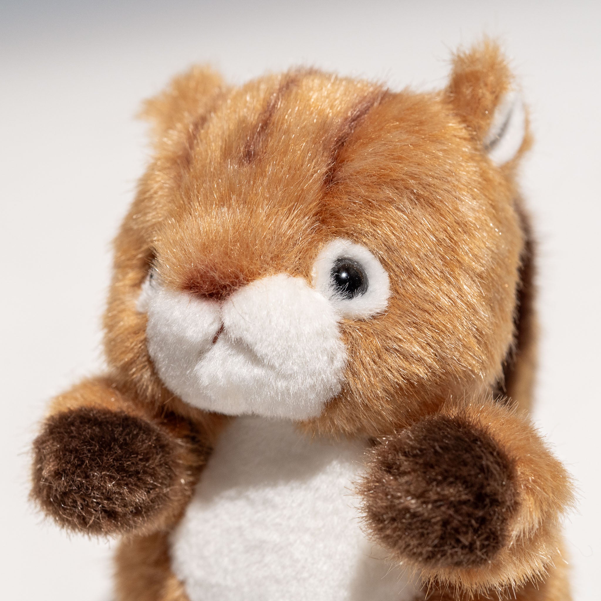 ココチモ Prince Dacky ぬいぐるみ 茶色 タカラトミーアーツ ココチモ