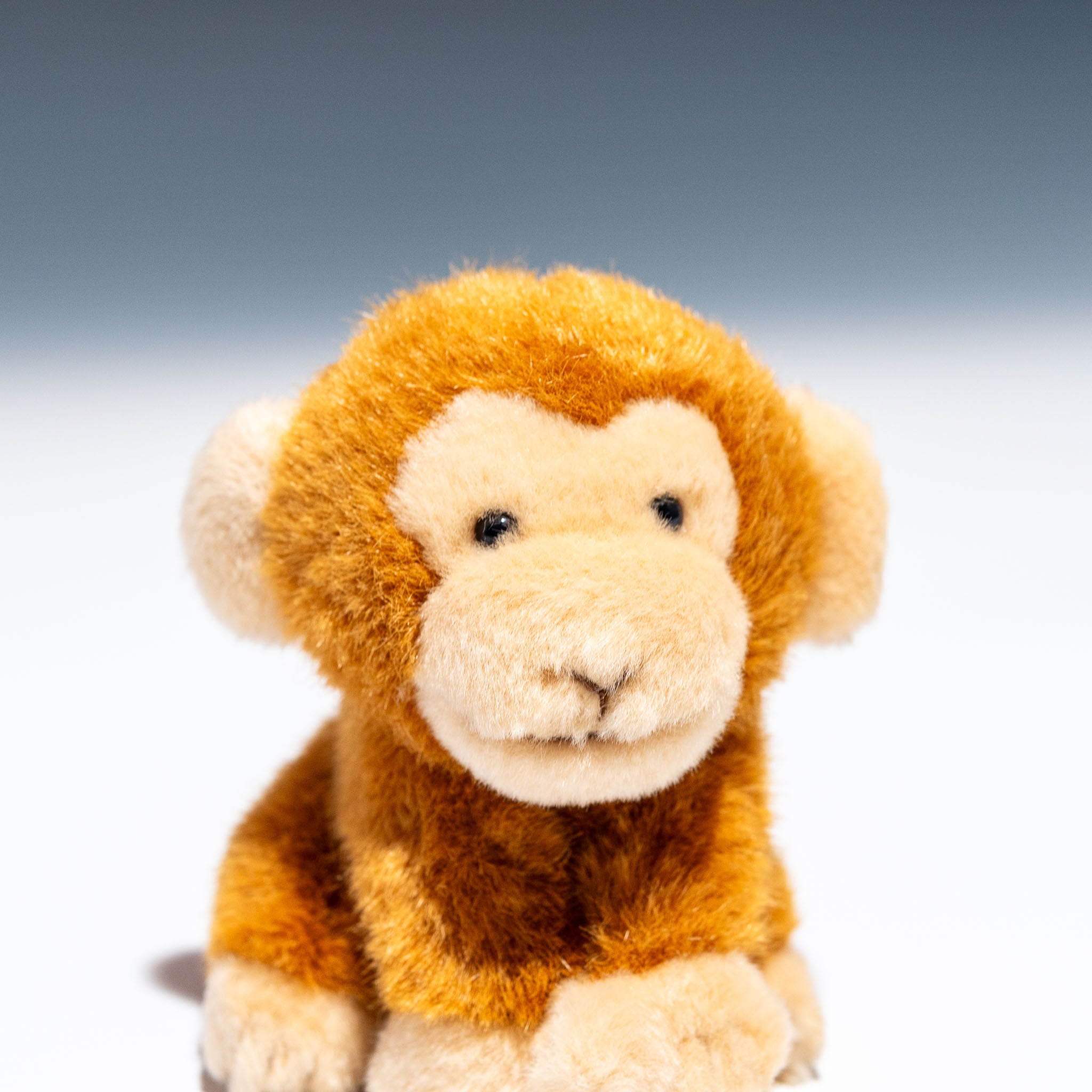 たけのこ TAKENOKO ぬいぐるみ サファリクラブ サル 85914