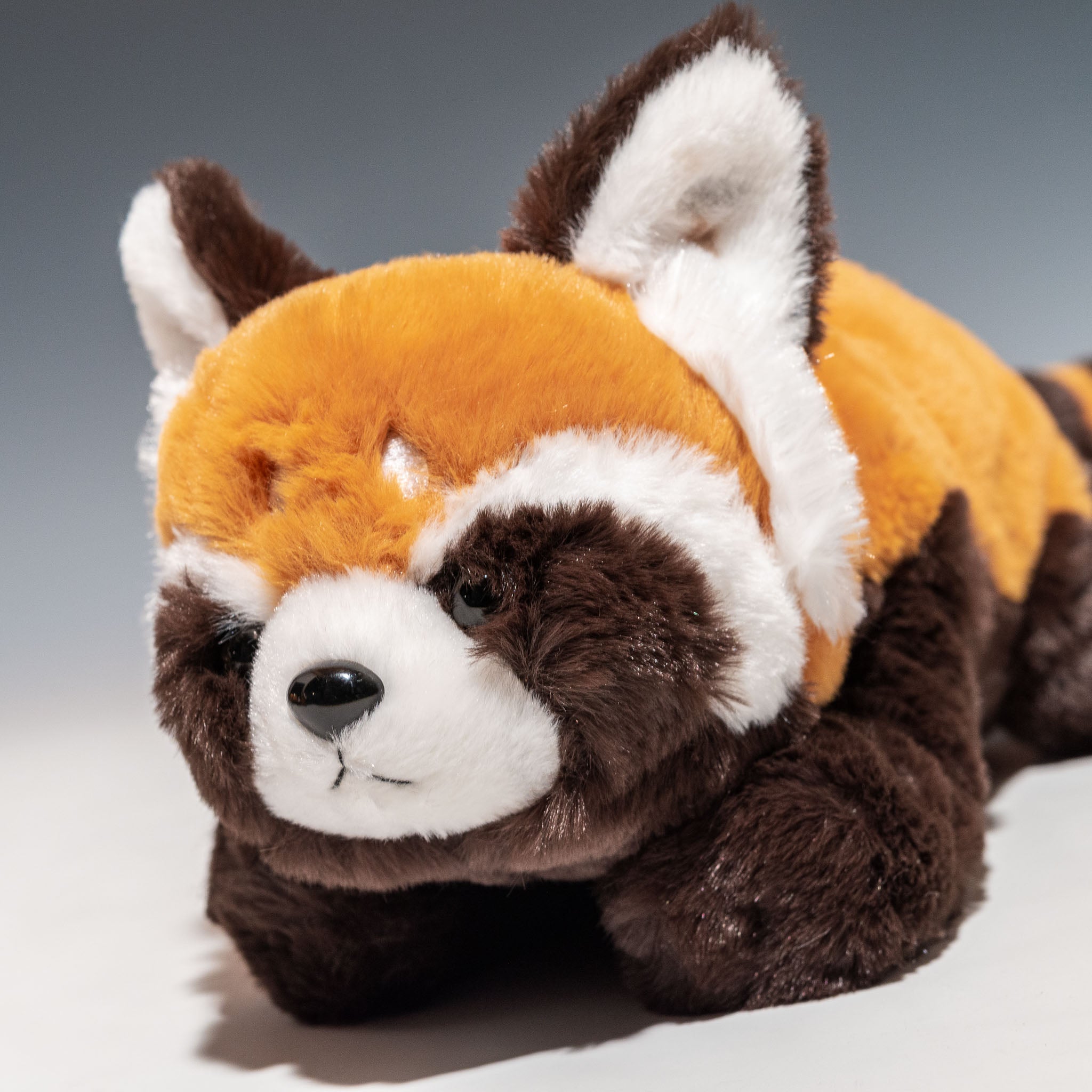 CUTE キュート販売 ぬいぐるみ くたくたレッサーパンダ M Z0323